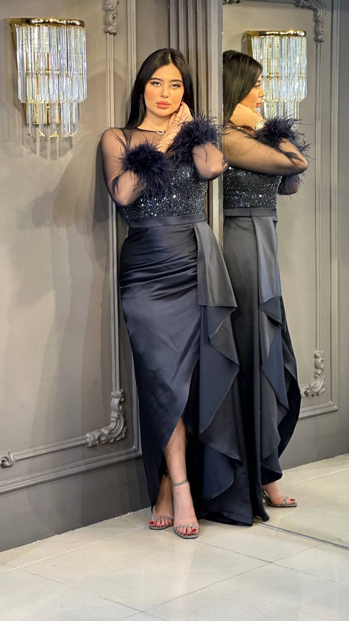 Elegant Dress with Feathered Sleeves and Sparkling Bodice - 00034